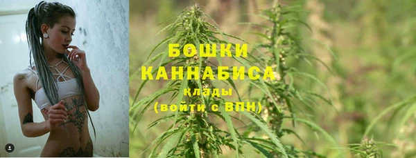 ГАЛЛЮЦИНОГЕННЫЕ ГРИБЫ Вязьма