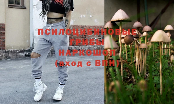 гидропоника Вяземский