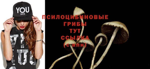 jwh Верхний Тагил