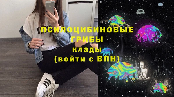 спайс Верея